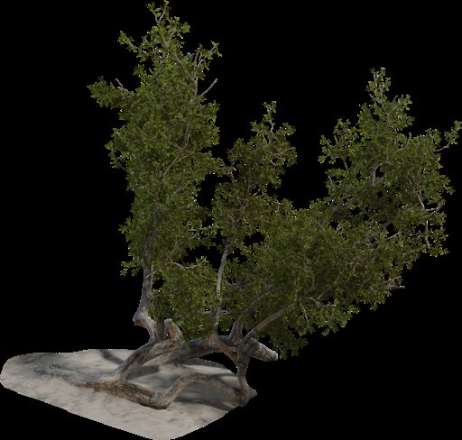Island Tree 03