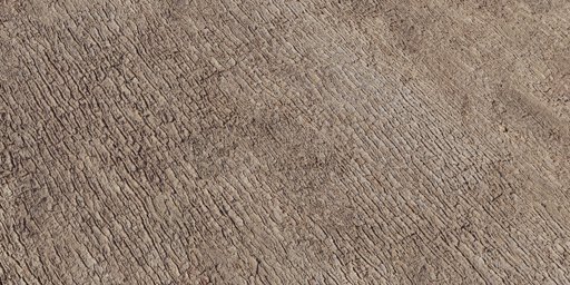 Japanese Camphor Bark