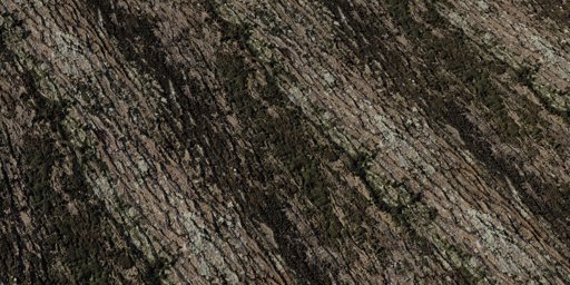 Jolcham Oak Bark 01