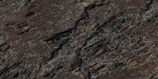 Lichen Rock