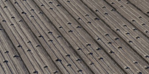Medieval Wood