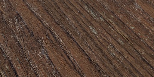 Metasequoia Bark