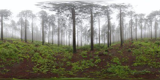 Misty Pines