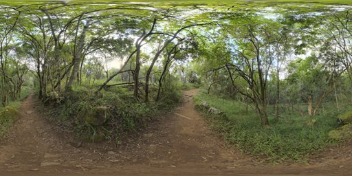 Monk's forest