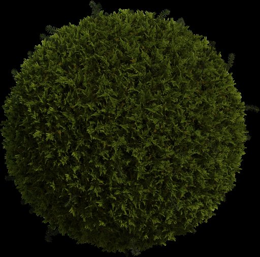 Moss 01