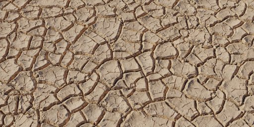 Mud Cracked Dry 03
