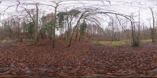Muddy Autumn Forest