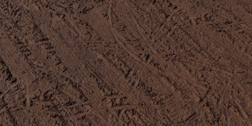 Muddy Tracks