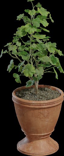 Potted Plant 01