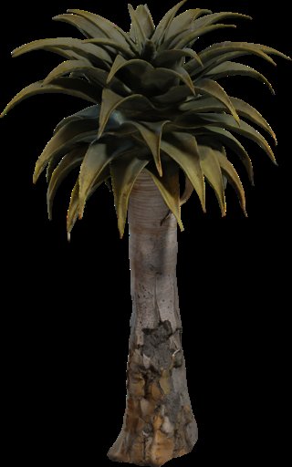 Quiver Tree 02