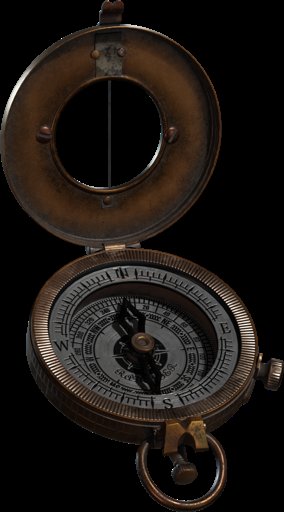 Seadogs Compass