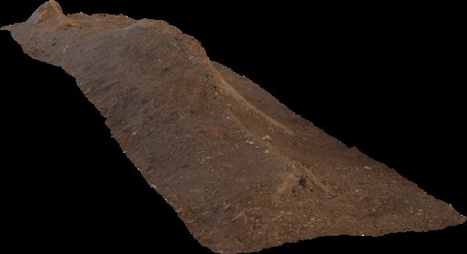 Single Root