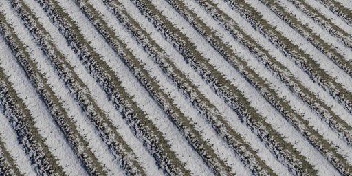 Snow 04