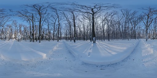 Snowy Forest Path 02