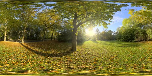 Sunny Vondelpark