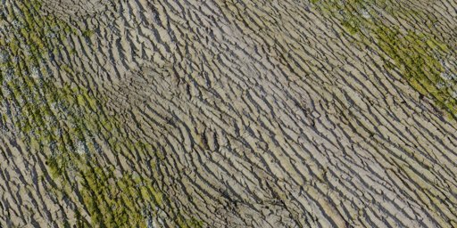 Tree Bark 03