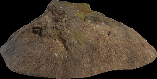 Tree Stump 02