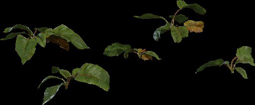 Weed Plant 02