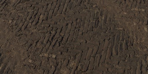 Worn Brick Path