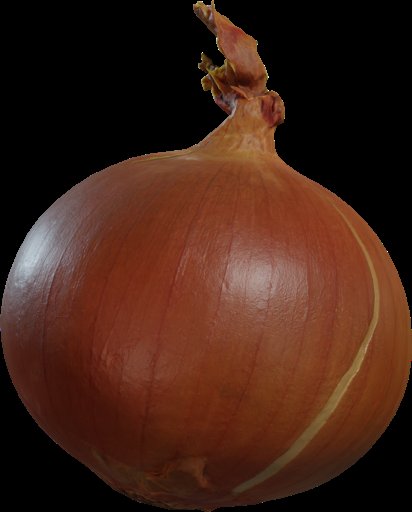 Yellow Onion